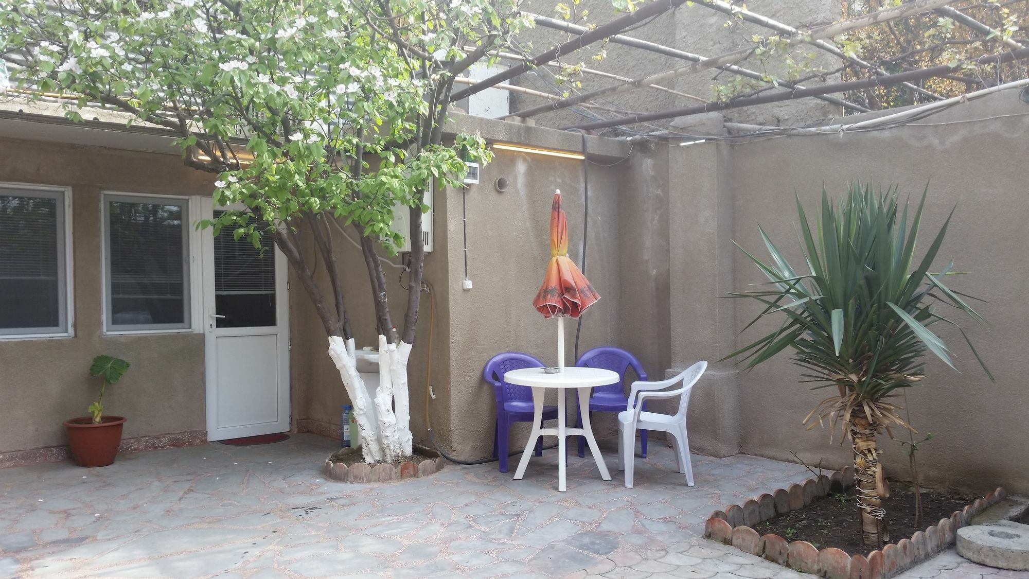 Guest House Spartak Tbilisi Ngoại thất bức ảnh